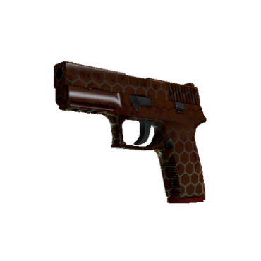 StatTrak™ P250 | hive