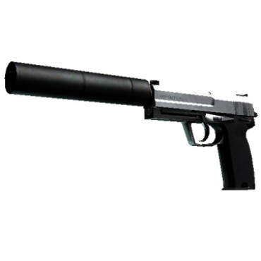 StatTrak™ USP-S | Stainless