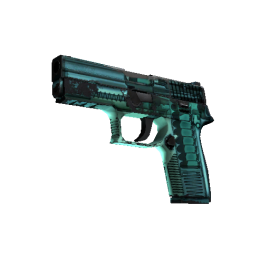 P250 | X Ray (Field Tested)