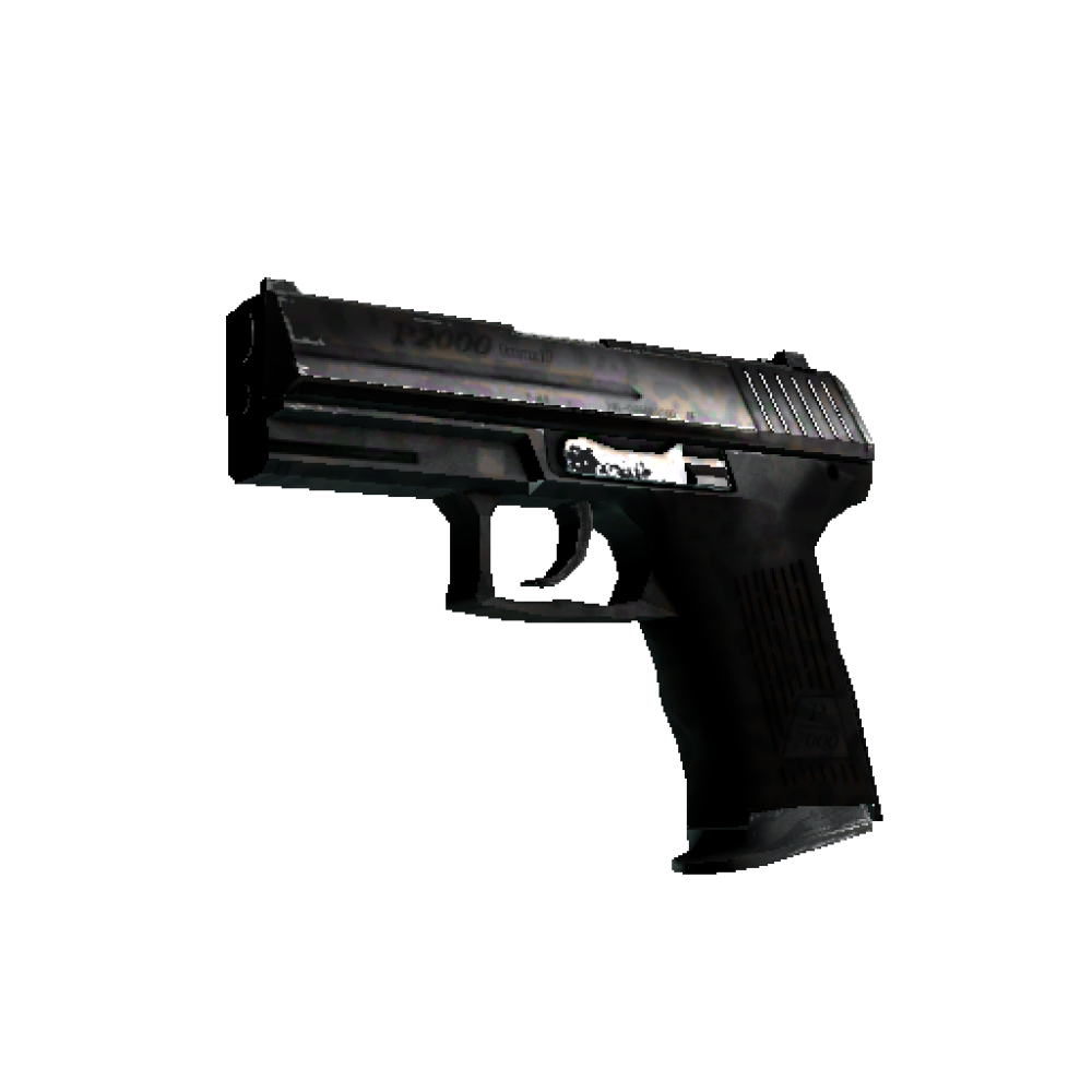 P2000 | Panther Camo (Minimal Wear)