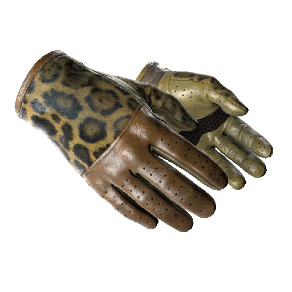 Driver Gloves | Queen Jaguar (Minimal Wear)