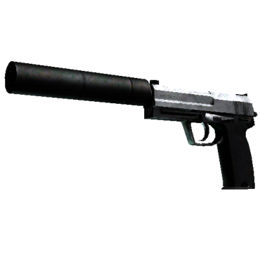 USP-S | Stainless (Battle-Scarred)