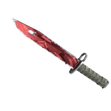 Bayonet | Slaughter (Field-Tested)